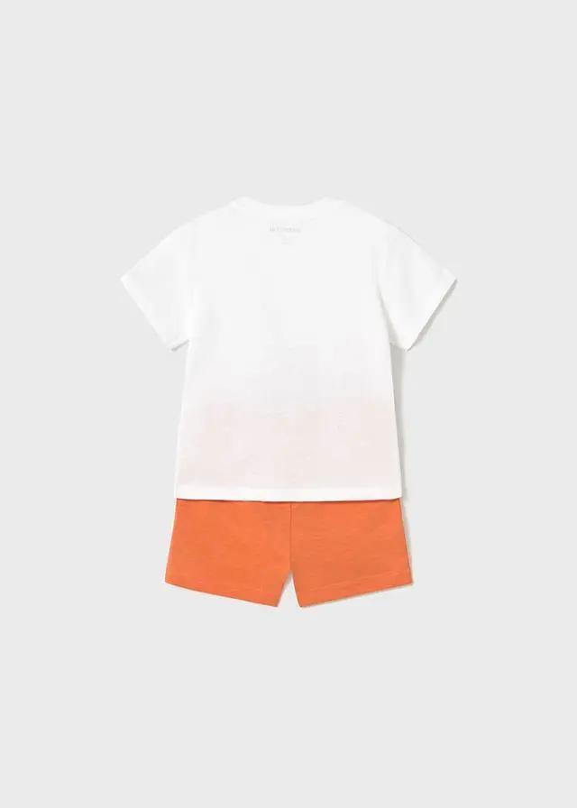 501735_5024_0|2a648074e9dd522ba9632fac84c8366e