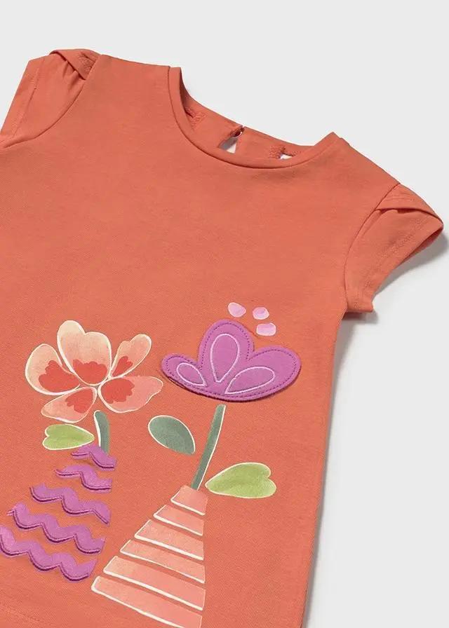 502725_27437_1|52efbbd3679d50c5a906158d27c098ec