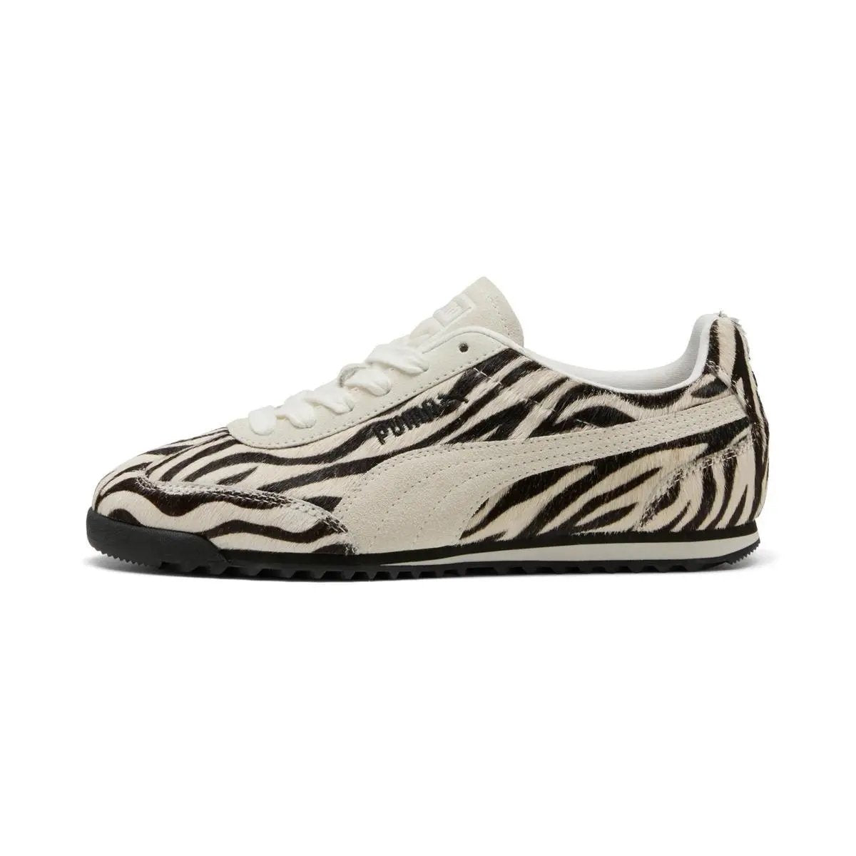 404398 ARIZONA ZEMBRA ZEBRA PUMA