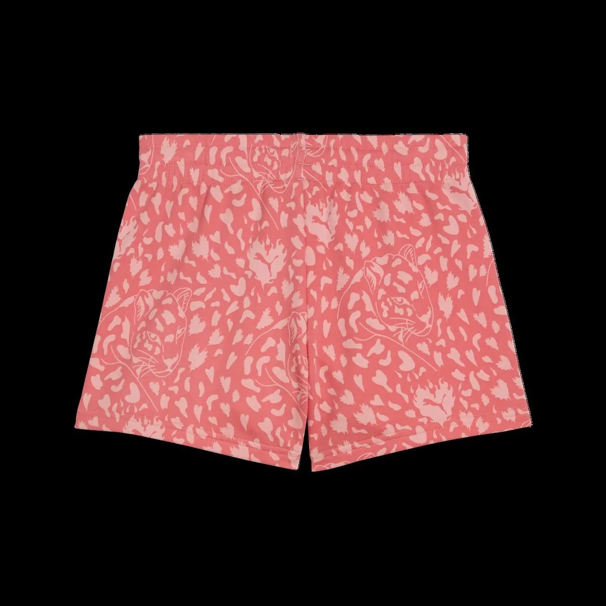 503315_20571_0|d2f76546ac40529663d1e4f6f5f7e63c