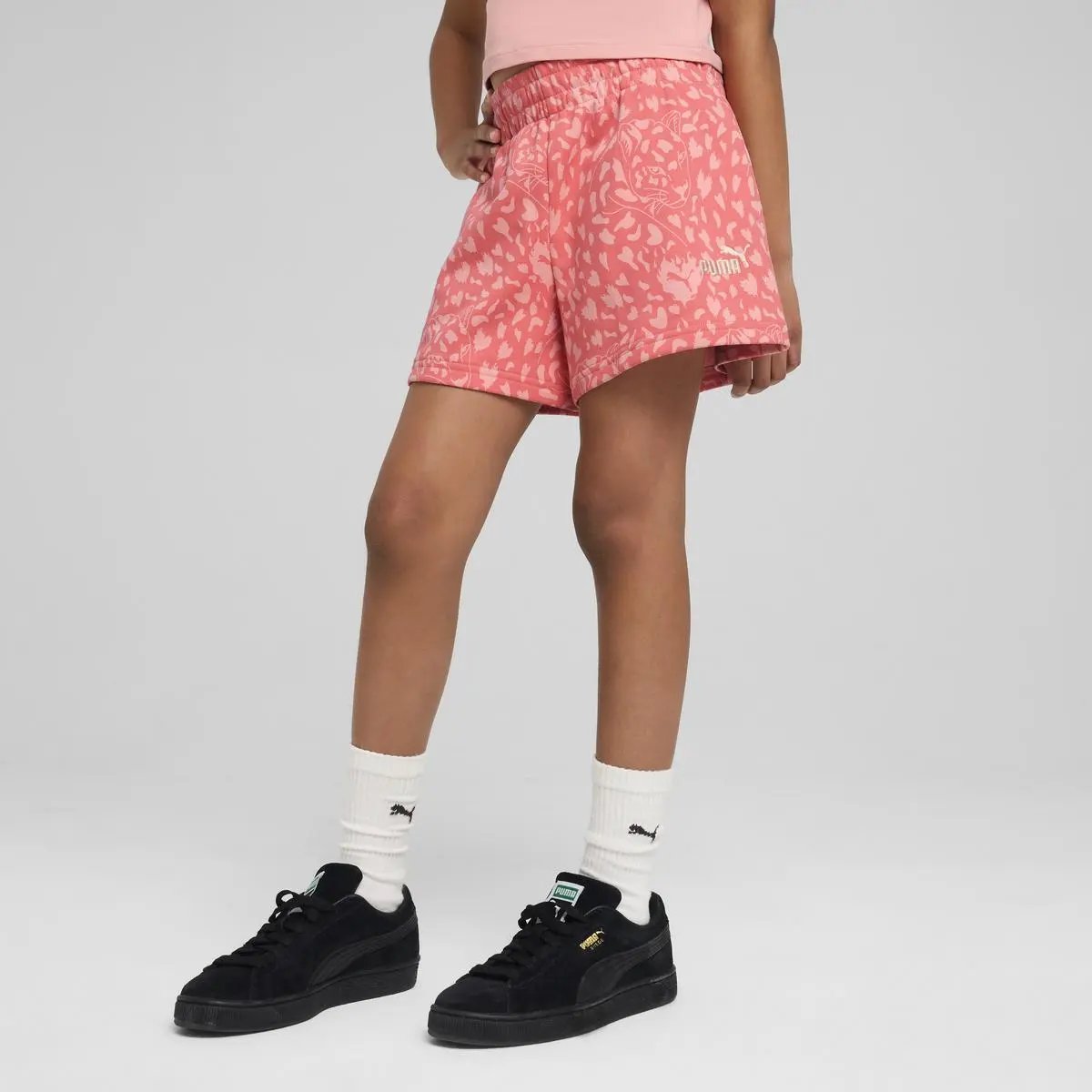 503315_20571_1|25703048b00743332c78c2692abd1ddc