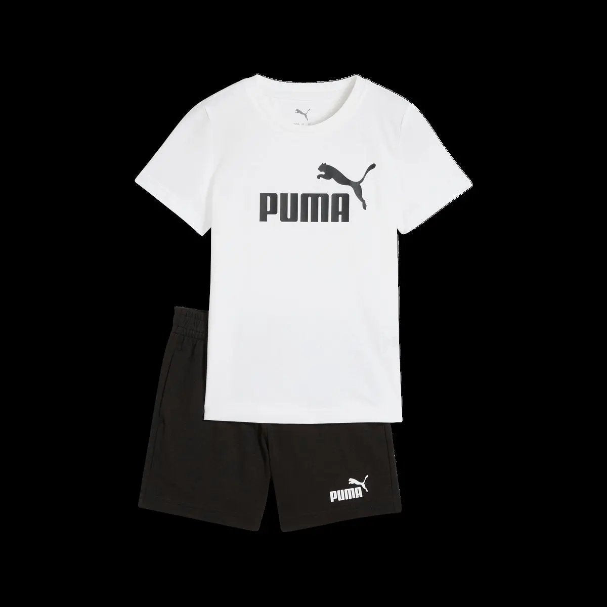 503319_19947|ebe4678d205d78983af7f8f4743bb061