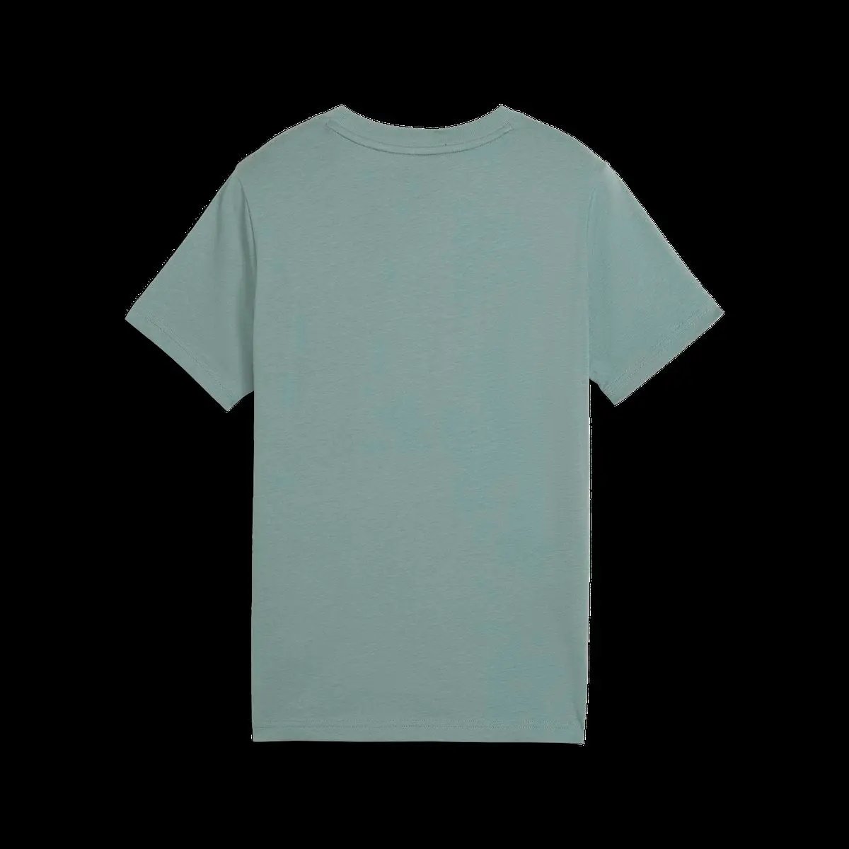 503321_21028_0|7fcb48db9c4c13eed15ccc3c55920205