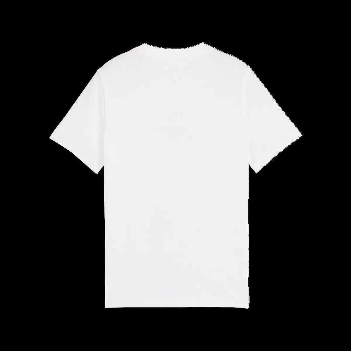 503322_19947_0|2823dc14106affb83e1c7c26c68db28a