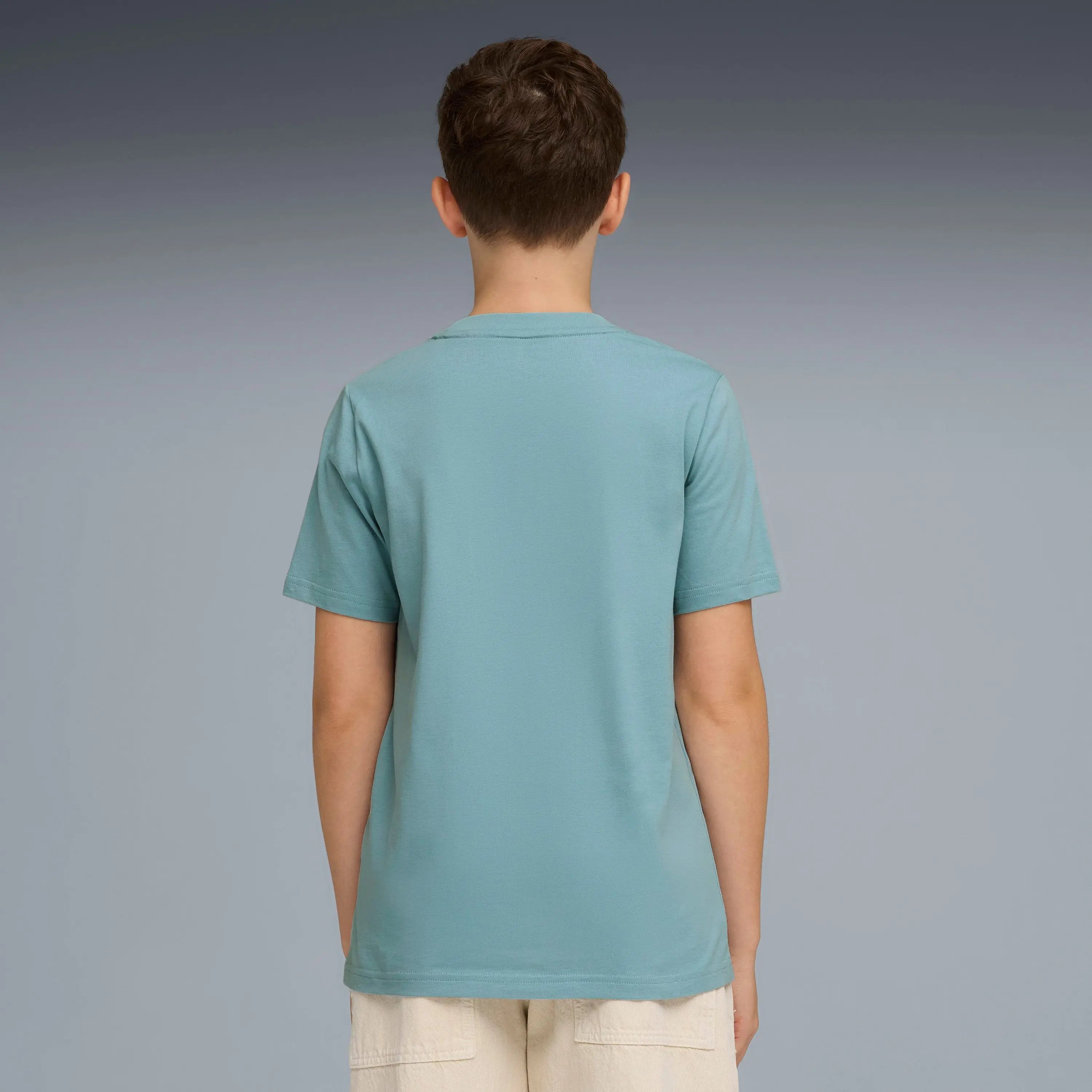 511341_22346_2|3691354a1c456bbe1a378ae3ff300e51