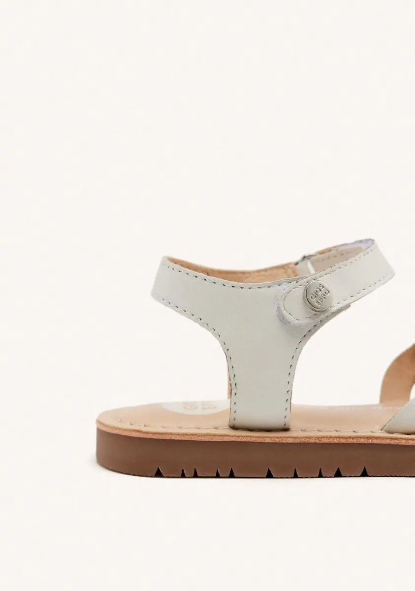 503830_23950_1|d19688011786a2f4b25621963ec205f8