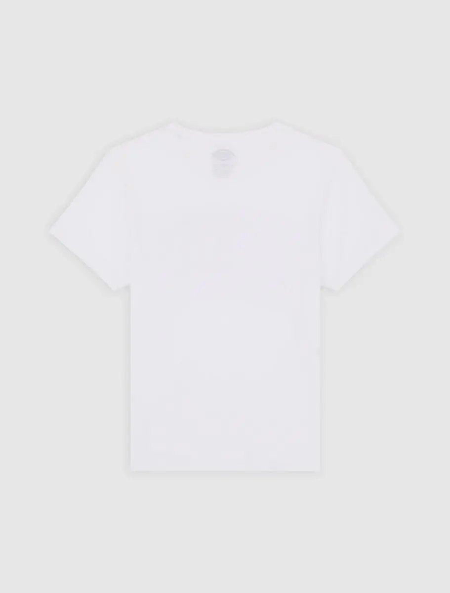 501546_32246_0|037d3f9d081ddd9270132ef72412d240