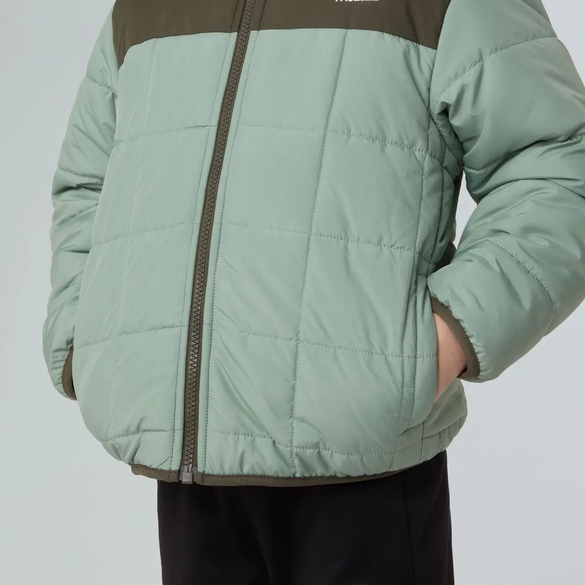 NF0A88VH K REVERSIBLE SHASTA JKT VERDE THE NORTH FACE