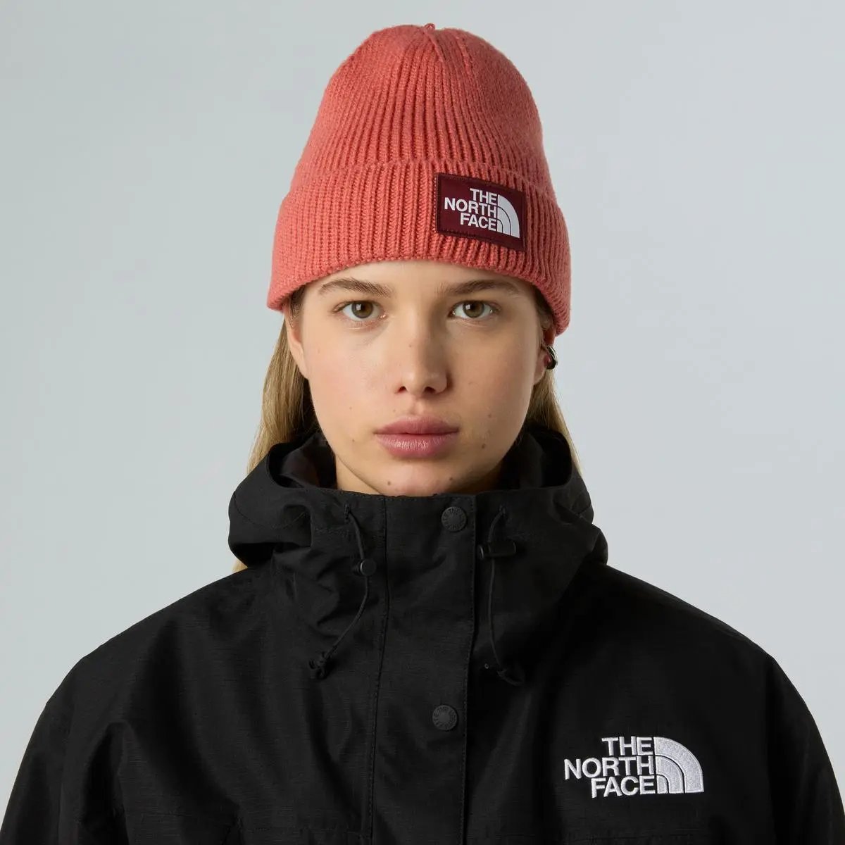 NF0A8CHE TNF LOGO BOX CUFFED BNE COCCIO THE NORTH FACE