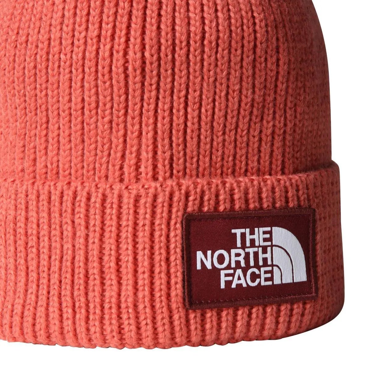NF0A8CHE TNF LOGO BOX CUFFED BNE COCCIO THE NORTH FACE