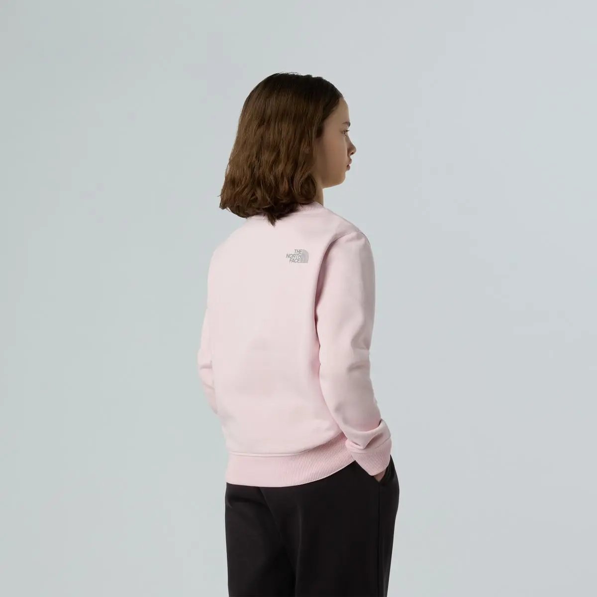 NF0A8EAP G REFLECT LOGO CREW ROSA THE NORTH FACE