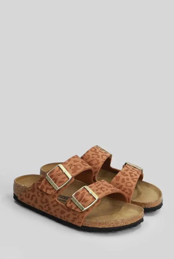 512591_23379_2|ea245e921bb87787421947ffd278763f