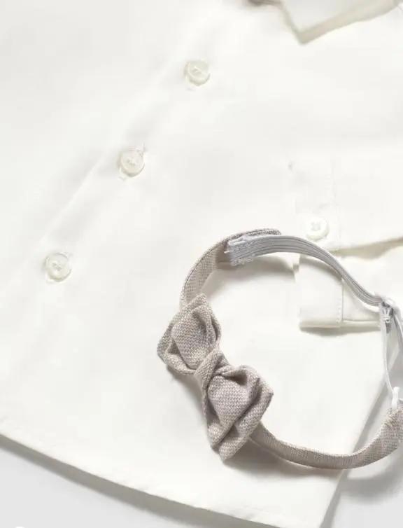 501898_7948_1|b03c7666453281dd8c7c473386fc123e