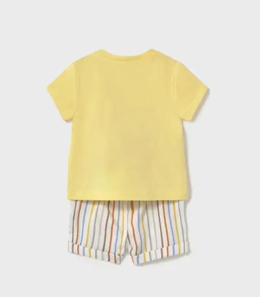 502773_28793_0|8e229b4e5ed2bb1470ccef705d3a0e38