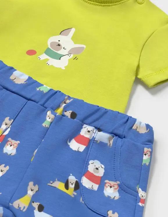 501902_808_1|12daac47d41dc1435b98e455134631c6