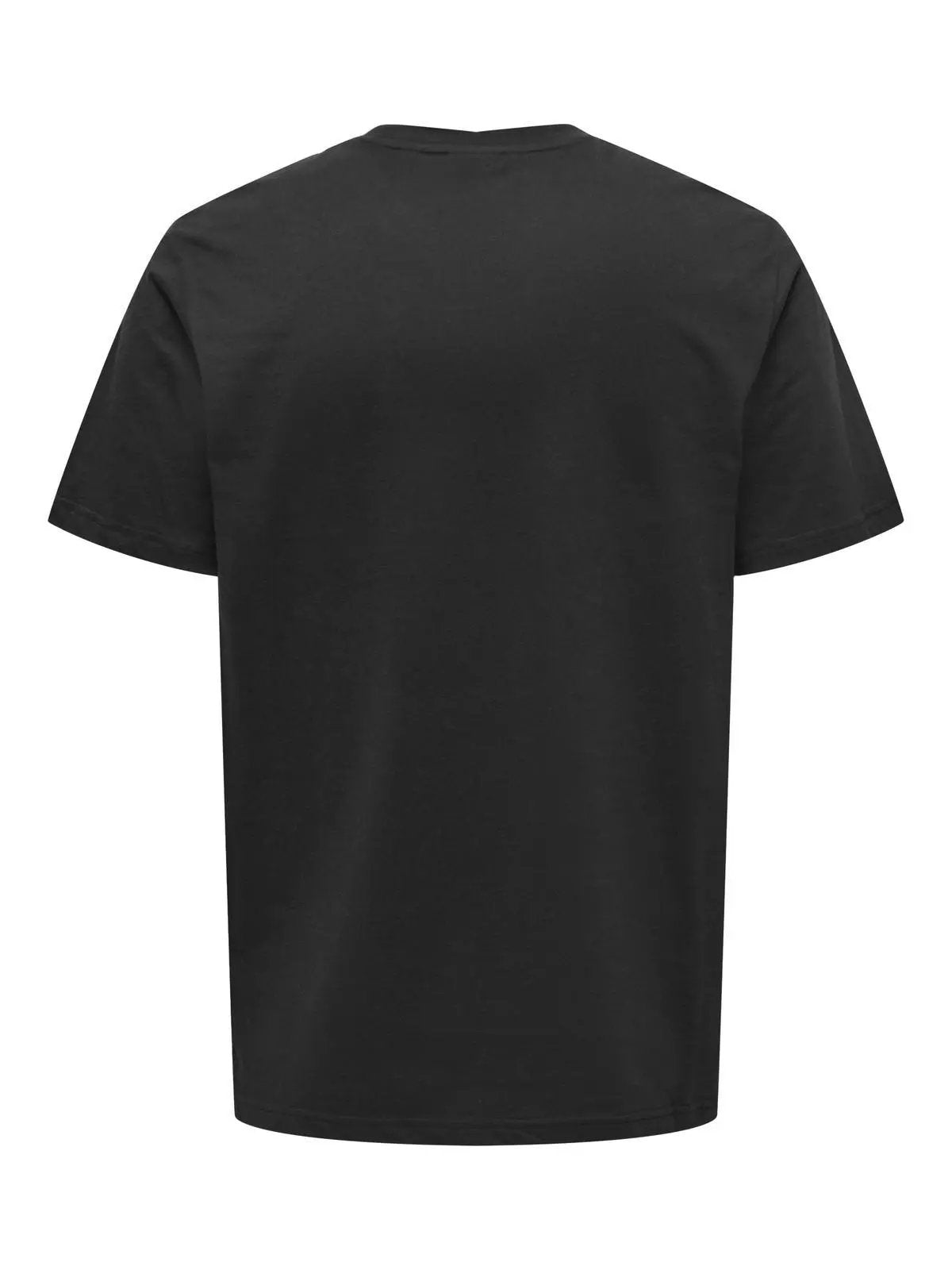 504778_26754_0|069951c4b07c841638e89fcc5819faea