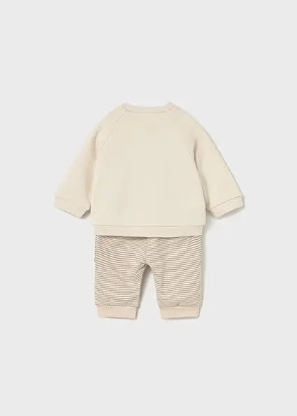 2639 COMP.PUNTO P CACAO MAYORAL