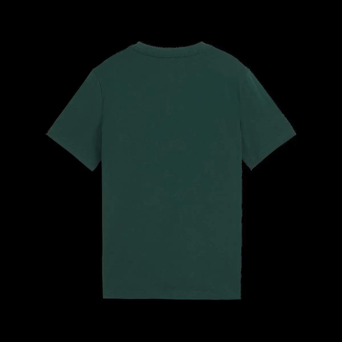 503748_29293_0|3a2c40504ad280ca96b75be0ea609b76