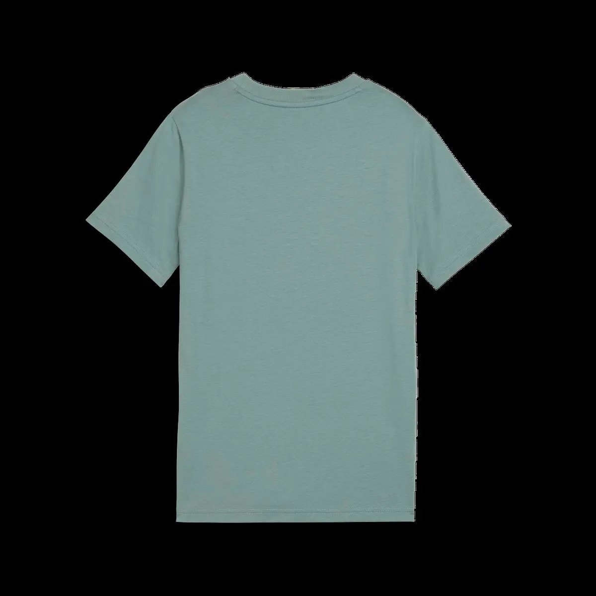 503320_21028_0|35f9c324ffc824c2cfa6372667a21d58