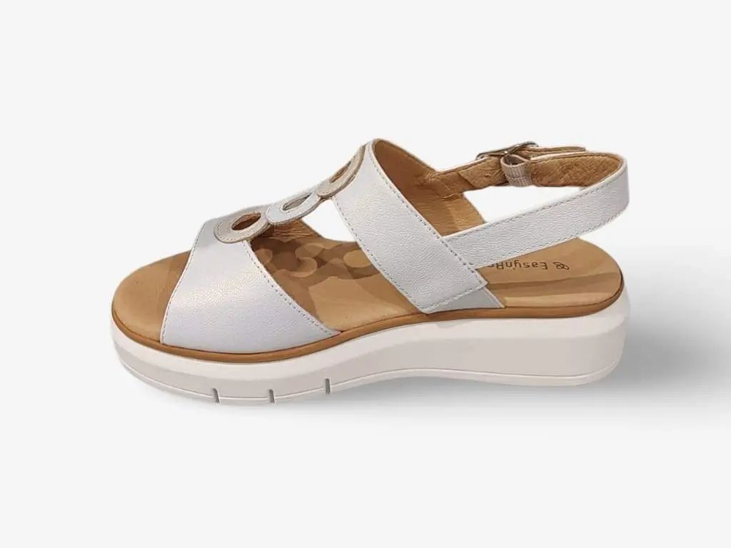 504144_23950_0|ccc9e89d40952ef631e79a2d8e5c8b50