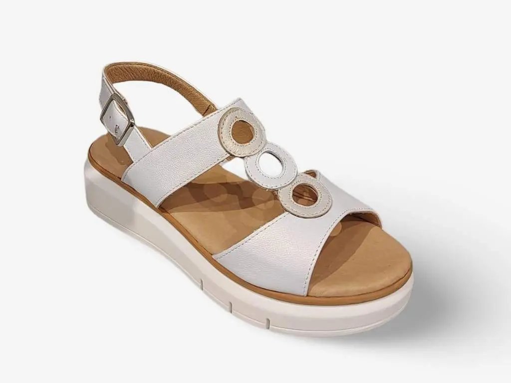 504144_23950_1|5af2b94f2301c90228ca00dd207cba03