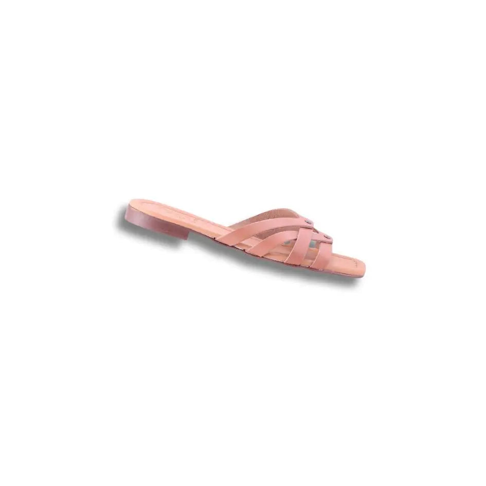 500909_30149|b0ca69685a8ff73ad9f66602d67748e5