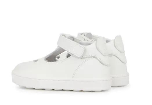 502404_23950_1|19982d456c4b3472a717a9f848771c34