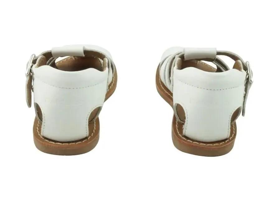 504168_23950_0|ab807d7c6b4f6c0670fad7c2a86cbf67