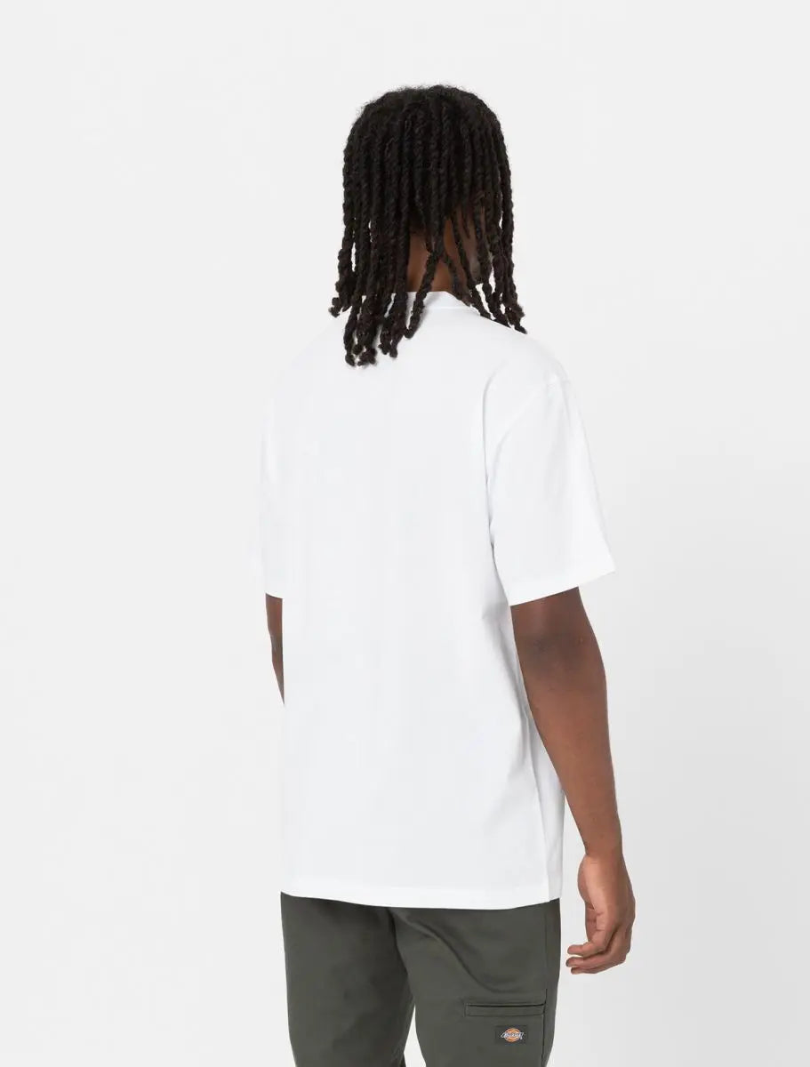502305_4728_0|5236dab24d46740ca6f778dfdbae6cb3