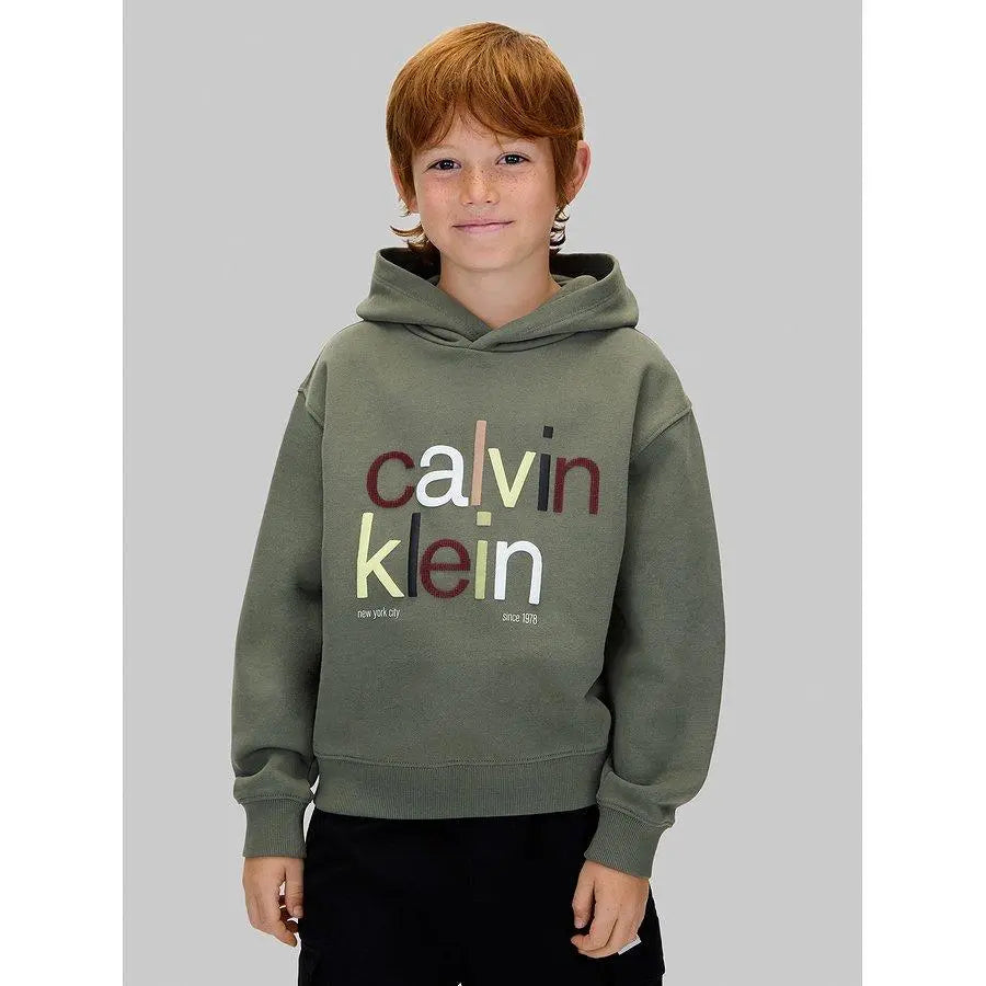 IB0IB02563T COLOR LOGO GRAPHIC TERRY HOODI VERDE CALVIN KLEIN