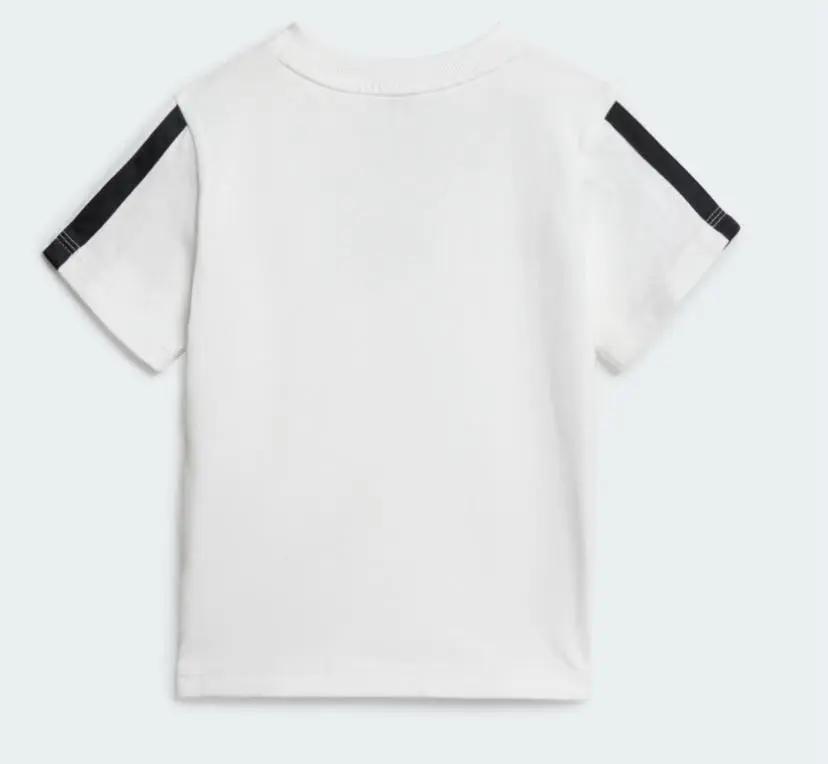 504154_1331_1|e3382412ad300e6a1a3a88b9fdcc301a