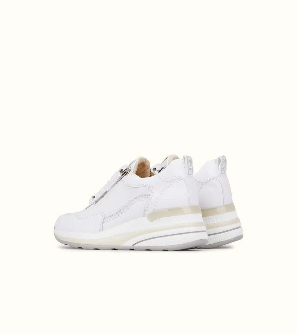 502288_23950_1|1c8804987939ace67e6c6aff97a43b11