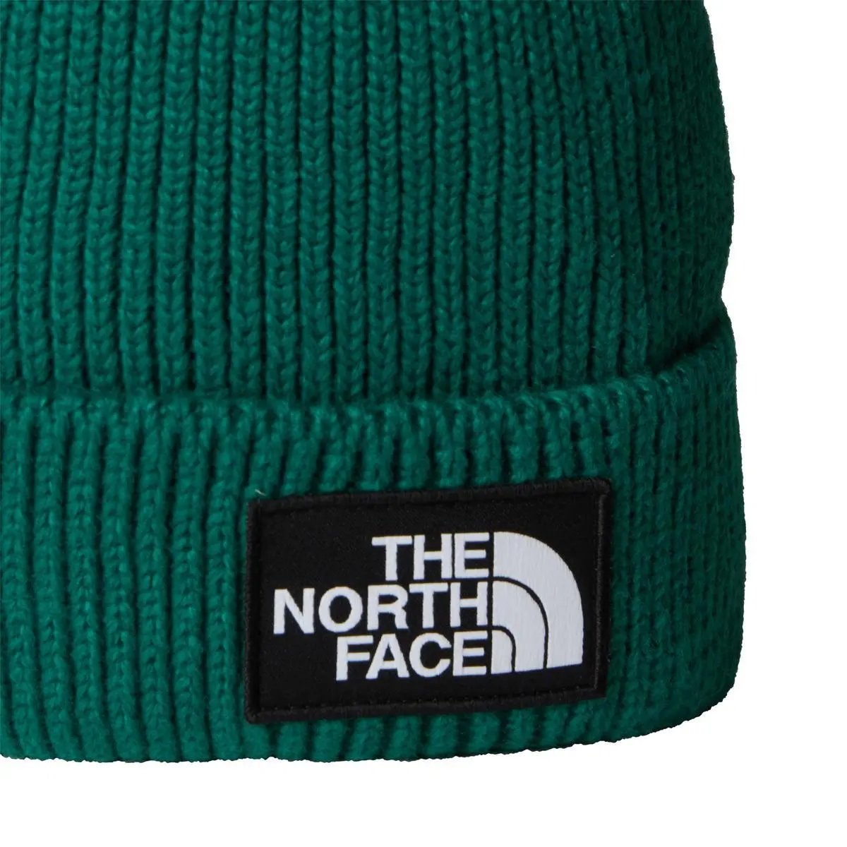 NF0A8CHE TNF LOGO BOX CUFFED BNE SMERALDO THE NORTH FACE