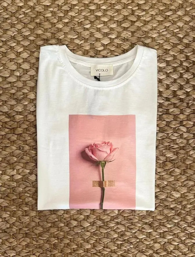 511564_7948|33b423c686ecde9cb87f4124243c5492