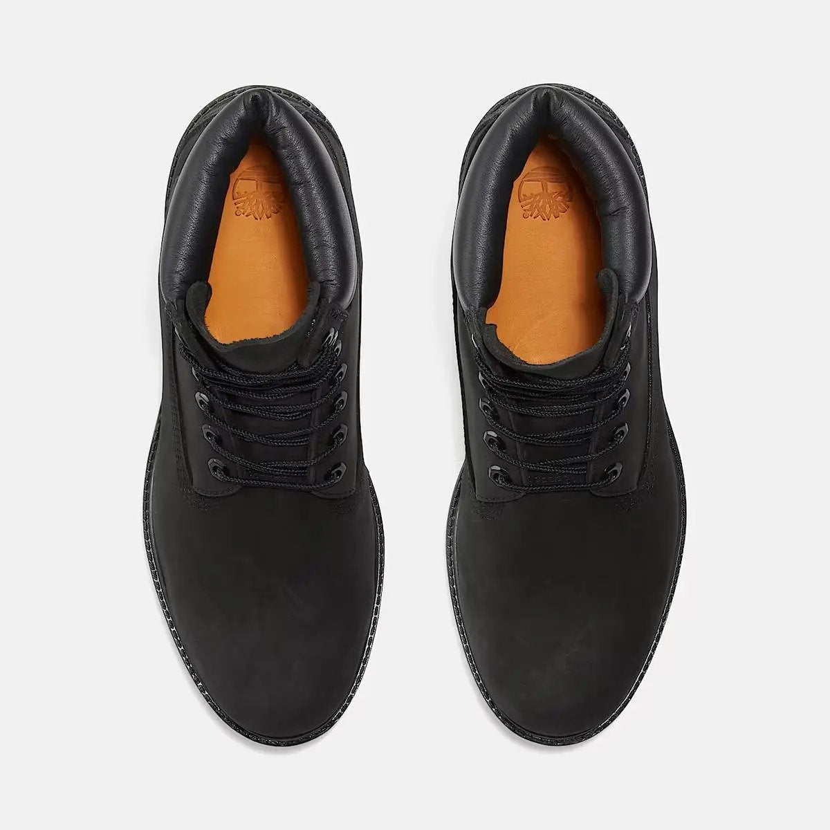 TB110073 PREM 6 IN LACE WATERPROOF BOOT NERO TIMBERLAND